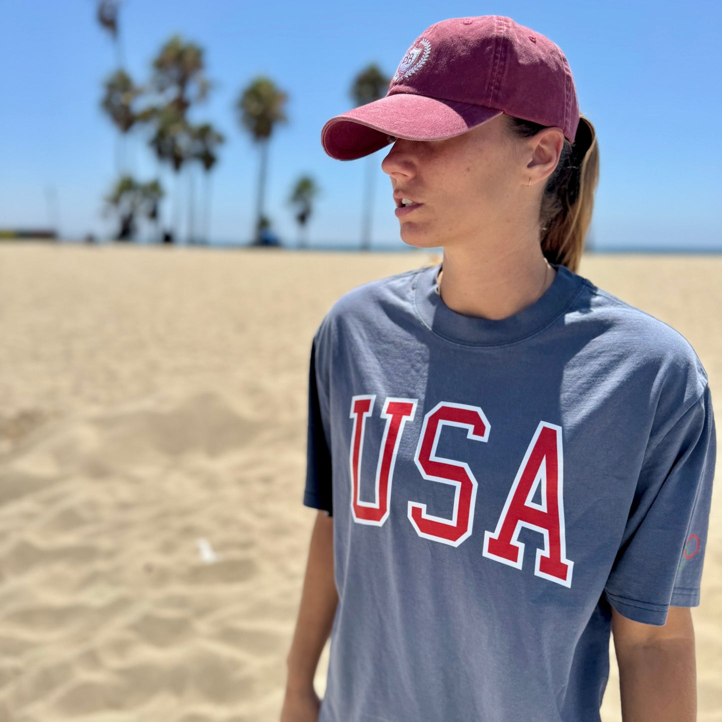Faded Americana Hat